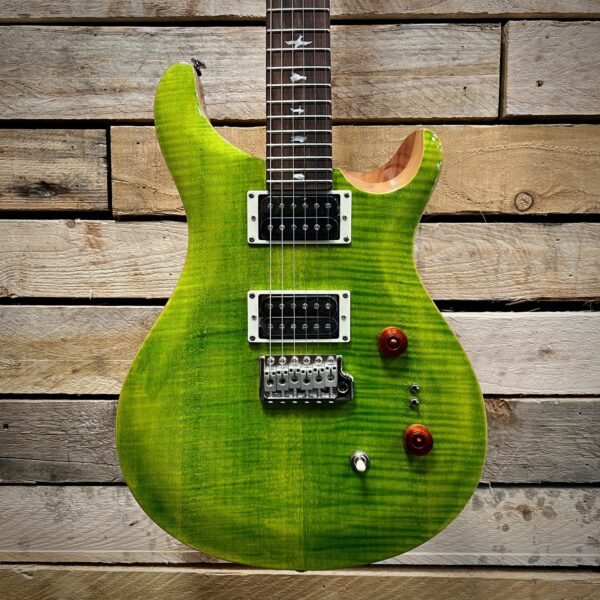 PRS SE Custom 24-08 Electric Guitar - Eriza Verde - Body