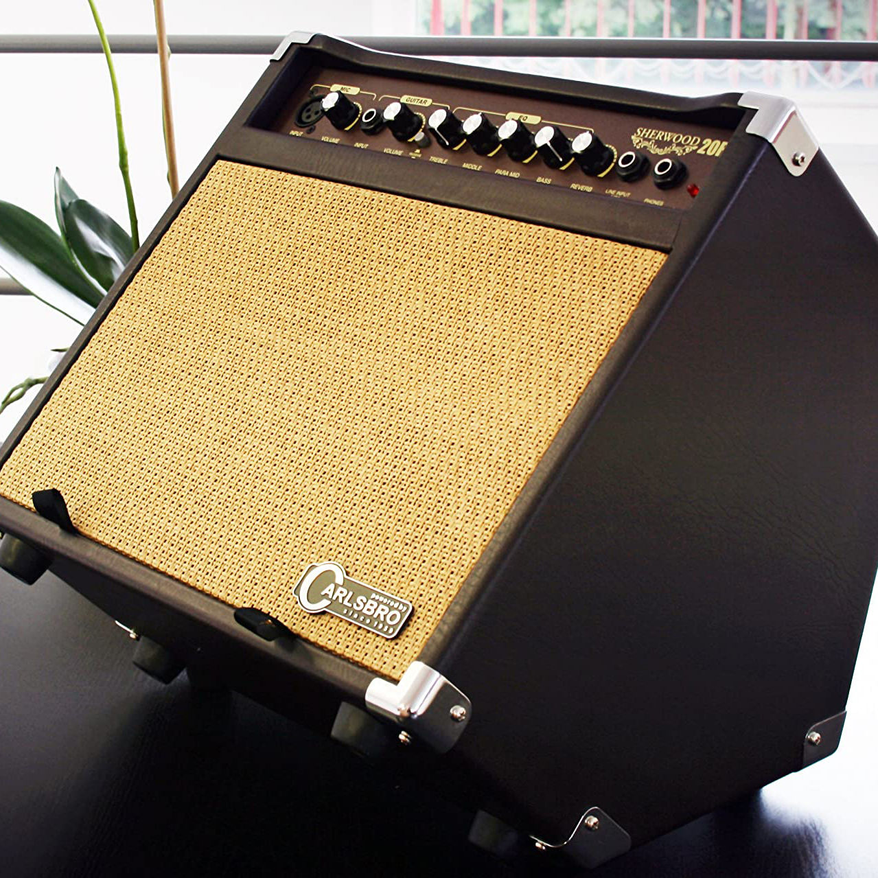 carlsbro acoustic guitar amp