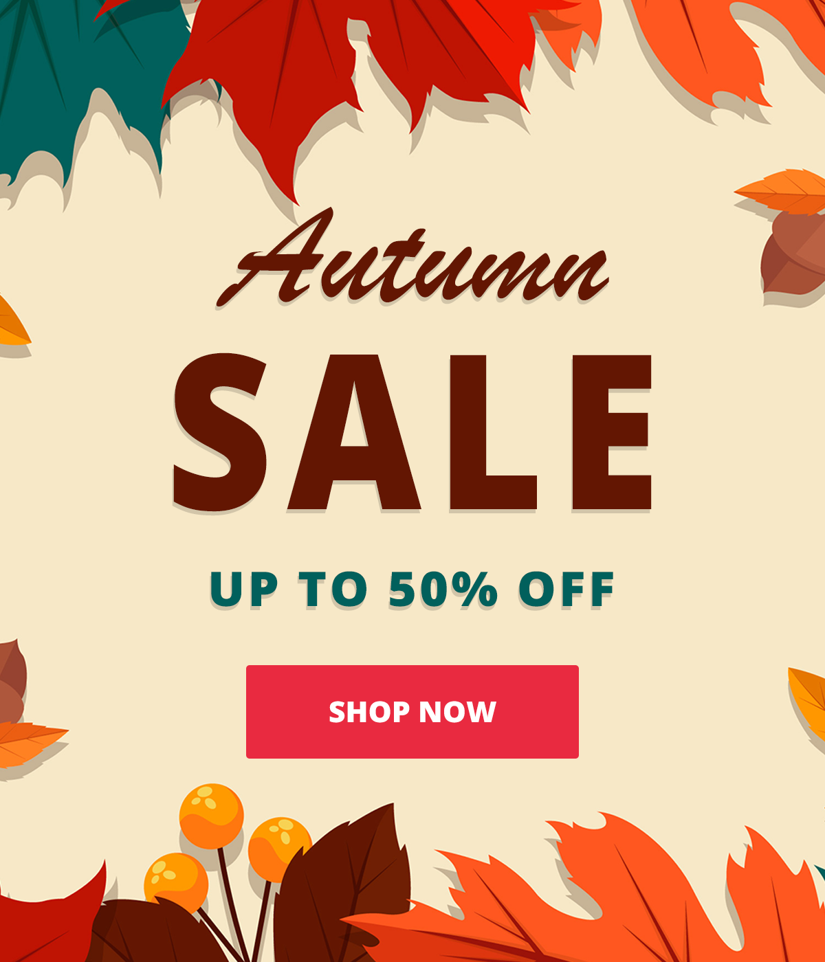 Grab a bargain in our Autumn Sale!