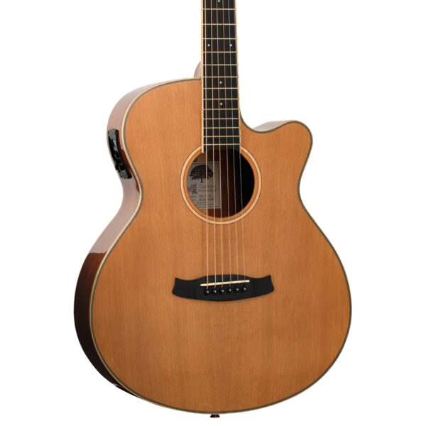 Tanglewood TW4 CE NA Winterleaf Series Cutaway Electro-Acoustic Guitar - Body