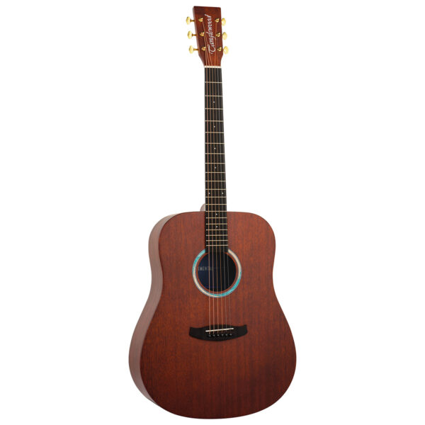 Tanglewood TE5 BL Elemental Series Dreadnought Acoustic Guitar - Front